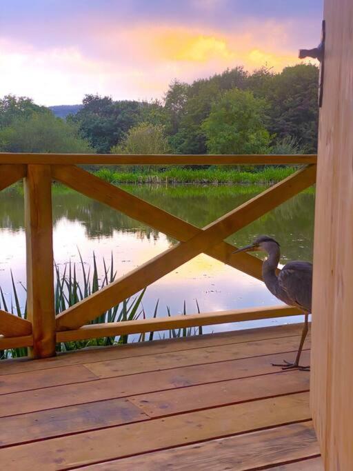 Log Cabin/hot Tub On Private Jurassic Coast Villa